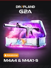 Counter Strike 2 RANDOM M4A1-S SKIN PC