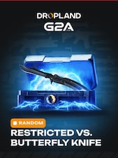 Counter Strike 2 RANDOM 3 CASE RESTRICTED VS. BUTTERFLY KNIFE SKIN PC