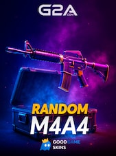 Counter Strike 2 RANDOM M4A4 PC