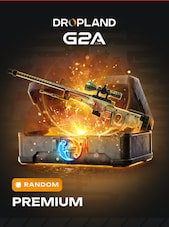 Counter Strike 2 RANDOM PREMIUM SKIN PC