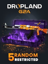 Counter Strike 2 RANDOM 5 CASE RESTRICTED SKIN PC