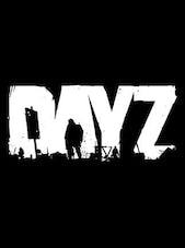 DayZ PC