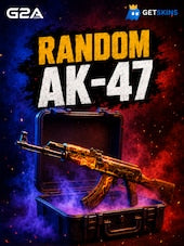 Counter Strike 2 RANDOM AK-47 SKIN PC
