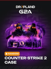 Counter-Strike 2 RANDOM CASE