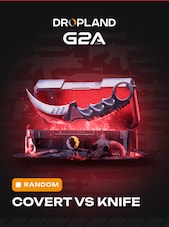 Counter Strike 2 RANDOM COVERT VS. KNIFE SKIN PC