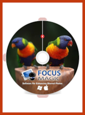 Focus Magic - PC 1 Device Lifetime