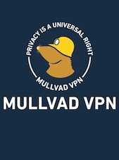 Mullvad VPN 6 Months