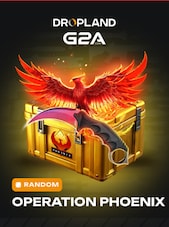 Counter Strike 2 RANDOM OPERATION PHOENIX SKIN PC