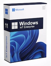 Microsoft Windows 11 Enterprise IoT LTSC 2024 - 1 Device